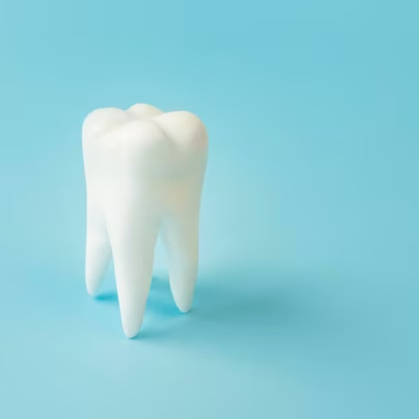 آیا دندان پوسیده ترمیم می شود؟